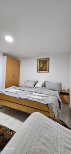 ein Schlafzimmer mit 2 Betten und einem Wandgemälde in der Unterkunft Apartman Branka in Niška Banja
