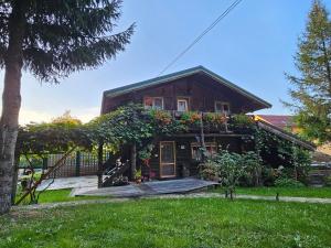 Zahrada ubytování Cabana Bendis