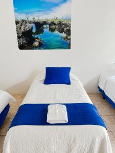 Voodi või voodid majutusasutuse Gran Hostal Tintorera toas