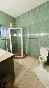 a green tiled bathroom with a toilet and a shower at Villa Anse Possession in Baie Sainte Anne