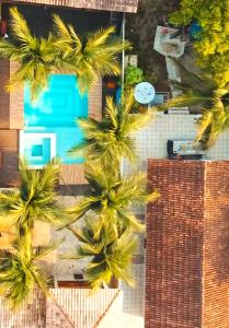 an aerial view of palm trees in front of a building at Pousada Tupaiú in Alter do Chao