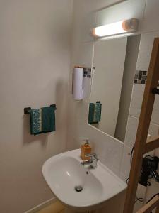 uma casa de banho com um lavatório branco e um espelho. em Maisonnette abj em Anneyron