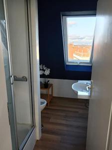 een badkamer met een raam, een toilet en een wastafel bij Ferienwohnung Allgäu 5 in Memmingen