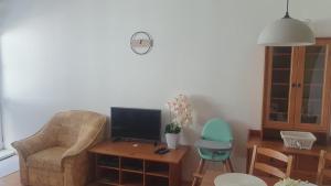 TV a/nebo společenská místnost v ubytování KF Apartment Donovaly