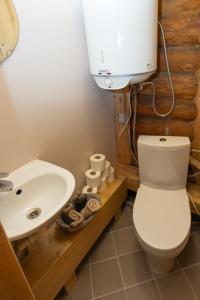 a bathroom with a toilet and a sink at Jaunlidumnieki in Mālpils