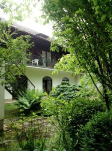 ein Haus inmitten eines Gartens in der Unterkunft Hotel Grünes Türl in Bad Schallerbach