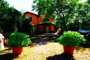 Zahrada ubytování Bed and Breakfast Monticelli