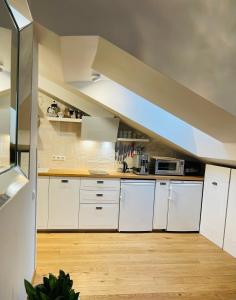 Kuchyň nebo kuchyňský kout v ubytování New Nida + 51 fotografií