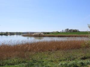 une grande masse d'eau avec de l'herbe haute dans l'établissement Gîte Bures, 3 pièces, 4 personnes - FR-1-584-304, à Bures