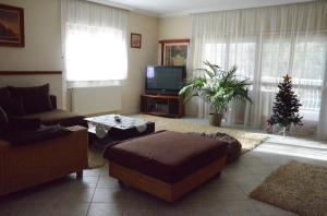 A television and/or entertainment centre at Villa Csilla elegant house