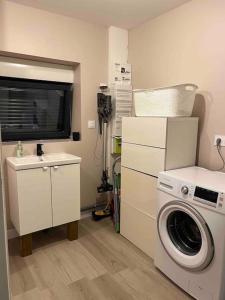 eine Waschküche mit einer Waschmaschine und einem Waschbecken in der Unterkunft Maison en Baie du Mont St Michel in Le Val-Saint-Père