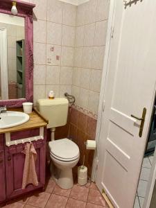 ブダペストにあるPaprika Palaceのバスルーム(トイレ、洗面台付)