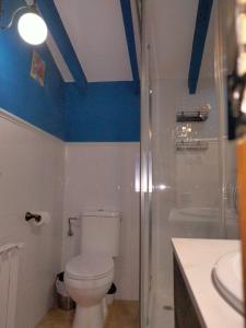 uma casa de banho com paredes azuis, um WC e um chuveiro em Hostal los Aromas em Vilhena