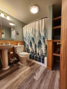 a bathroom with a toilet and a shower curtain at Riverfront~On ATV Trials~Near Mackinac Island in Hessel