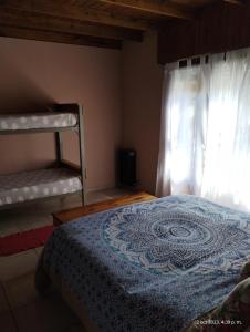 1 dormitorio con 1 cama con manta azul y ventana en El Nogal Viedma en Viedma