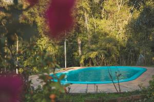 uma piscina no meio de uma floresta em Sítio Vale dos Vinhedos em Bento Gonçalves