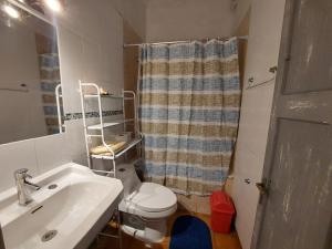 a bathroom with a sink and a toilet and a shower curtain at Casa Grande En Recreo in Viña del Mar