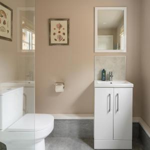 biała łazienka z toaletą i lustrem w obiekcie The White Horse, Rogate w mieście Petersfield
