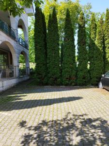 une rangée d'arbres devant un bâtiment dans l'établissement Casa cu Flori, à Cluj-Napoca