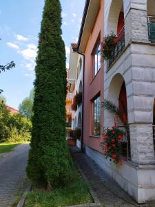 a tall green tree next to a building at Casa cu Flori in Cluj-Napoca