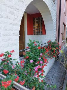 un edificio con flores frente a una ventana en Casa cu Flori en Cluj-Napoca