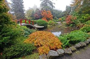 a garden with a red bridge and a pond at Seatac 2BR Lower Unit- 5 min to Airport in SeaTac