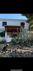 una casa con un cactus di fronte di cortijo la alberquilla a Illora