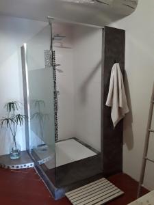 a glass shower in a bathroom with a towel on the wall at Alheuredusud in Violès