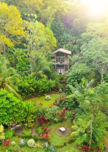 a garden in front of a building in a forest at Casitas Del Rio Riverfront Jungle Beach Vacation in Uvita