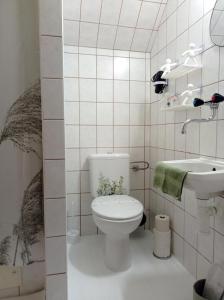 a small bathroom with a toilet and a sink at Penzión Skitour in Stará Lesná