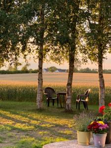 zwei Stühle und ein Tisch unter zwei Bäumen in der Nähe eines Feldes in der Unterkunft Romantik Luxus Glamping 2 in Idestrup