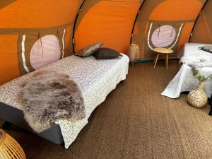 eine Katze, die in einem Zelt auf einem Bett liegt in der Unterkunft Romantik Luxus Glamping 2 in Idestrup