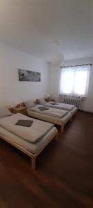 a room with four beds in a room with windows at Apartmán Vacovi in Olomouc