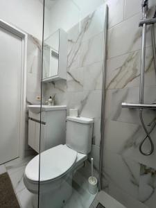 a bathroom with a toilet and a glass shower at Belgiëlei 94 in Antwerp