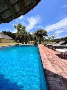 a blue swimming pool with benches and palm trees at Casa 2 dormitorios en complejo cerrado-Punta Ballena in Punta del Este