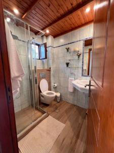 a bathroom with a shower and a toilet and a sink at VS Villa Killini in Káto Panayía