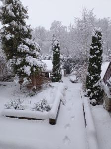 a garden covered in snow with trees and bushes at Penzión Skitour in Stará Lesná