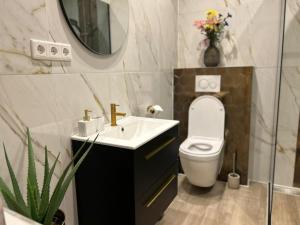 een badkamer met een toilet, een wastafel en een spiegel bij Lovely tiny house in Zandvoort