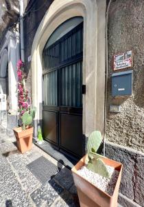 a door to a building with potted plants in front at Ursino holiday apartment in Catania