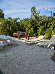 un tavolo con sedie e una statua sulla spiaggia di Oasis Palms Resort a St Pete Beach