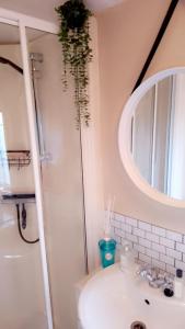 a bathroom with a sink and a mirror and a plant at Brittany's in Gisburn