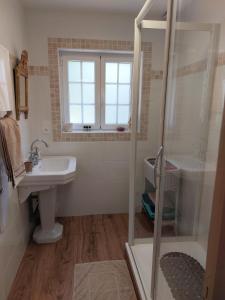 a bathroom with a sink and a shower at Studio Fontaine d’amour in Sarlat-la-Canéda