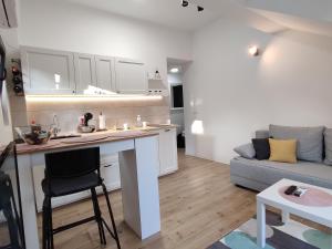 Køkken eller tekøkken på DIVNEST apartman