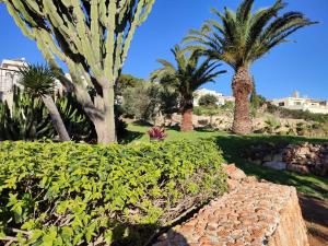 un jardin avec des palmiers et un chemin en pierre dans l'établissement Villa Lyss Apartment 1, à Mellieħa