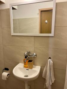a bathroom with a sink and a mirror at Ramban Emerald in Haifa