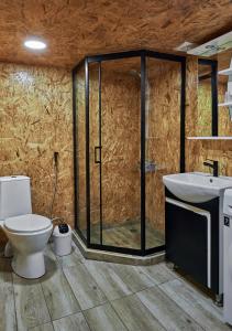 a bathroom with a shower and a toilet and a sink at Daxvalley Glamping in Tsalka