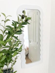a mirror on a wall with a plant in front of it at FOSSE LUXURY ROOMS in Leicester