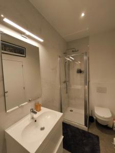 La salle de bains est pourvue d'un lavabo, d'une douche et de toilettes. dans l'établissement Appartement LA BOURSE, à Bruxelles