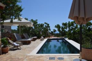 a swimming pool in a yard with an umbrella at Peaceful & Secluded Retreat House Kod Kapetana Hvar in Veliko Grablje