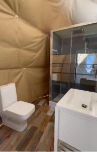 La salle de bains est pourvue de toilettes et d'un lavabo. dans l'établissement Caravans Park & GLAMPING TENTS in the Vineyard, à Turda